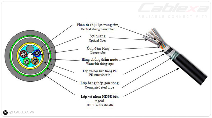 Cấu tạo cáp quang cống kim loại (chôn trực tiếp) chính hãng Cablexa Cấu tạo cáp quang cống kim loại (chôn trực tiếp) chính hãng Cablexa